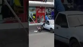 Лови диван