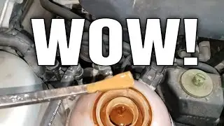 Oil In Coolant 