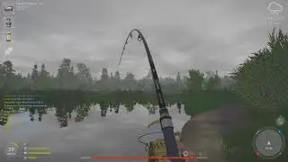Рр4, RF4, Оз. Медвежье, Амур черный трофейный