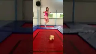 Кот на батутах #дети #животные #fannyvideo