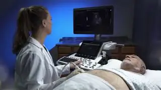 LOGIQ™ E10 Series Ultrasound: Enabling Tissue Stiffness Measurement