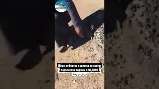 Ширк суфистов и шиитов.