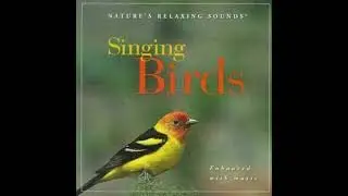 Nature's Relaxing Sounds - Singing Birds