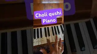 Choli qushi piano #королёк #piano #pianomusic #pianocover