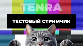 Тестовый стримчик 🤷‍♂️ Настраиваем мультичат