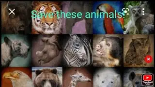 10 most endangered animals in the world! 2021