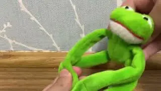 Kermit vibes to theory of everything