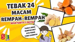 Daily Quiz | Tebak 24 Macam Rempah-rempah