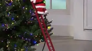 1d4f7d55 00b8 49e8 b6c0 8f3342218e69