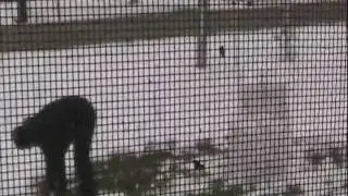 SNOWMAN!!!!!!!!!