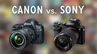 8 Reasons Why I (Almost) Switched to Sony from Canon for Videography & Photography