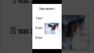 к какому относишься ты?