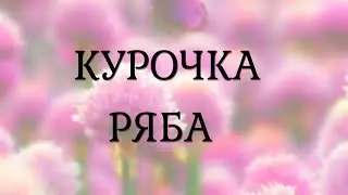 Курочка Ряба