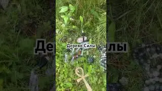 26 июля 2024 г.
