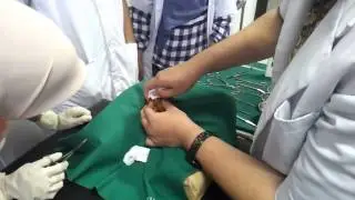Circumcision - Clinical Skills Lab (in Indonesian language)