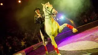В Тверском цирке состоялась премьера шоу 