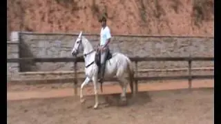 Caipirinha.wmv