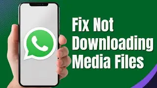 How to Fix WhatsApp Not Downloading Media Files | WhatsApp Download Problem (2024)