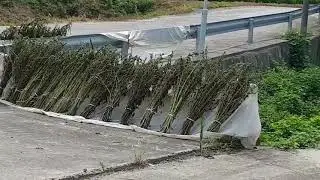 Прогулка по Корее/ Деревни в Корее/Деревня Чонпунмёнг