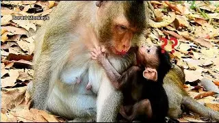 So cute! Baby Viola very surprise saw mom Violet wit new lipstick,Viola angry mom not feed milk
