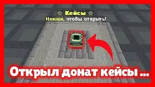 Открыл донат кейс!(ухожу с funtime)
