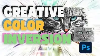 How to Invert Colors in Photoshop: Techniques for Creative Image Effects.