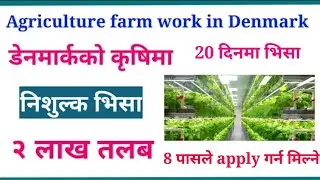 How to apply for agro job in denmark || uttam online