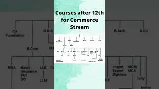 Career Options For Commerce Student after 12th.