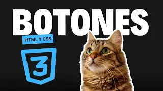 Aprende a hacer 8 diferentes botones animados con HTML/CSS en este tutorial