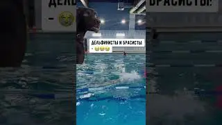 «Интересные задания сами себя не проплывут»