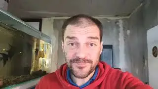 Новая Рыбка на Разводне!!)) Меченосец Рубин!!!