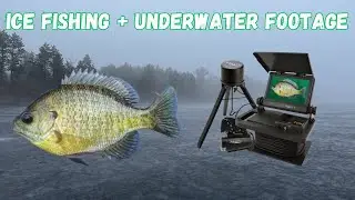 ICE FISHING | AWESOME UNDERWATER FOOTAGE!