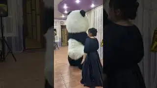 Обнимашки и танцы с Амиго 