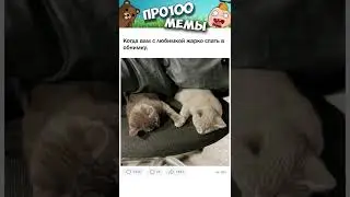 Мемы Просто Мемы