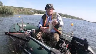 ЯЗЬ !!!  рыба мечта. Рыбалка на кольцо.