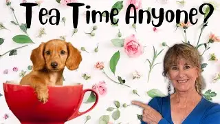 Afternoon Tea in Los Angeles | Pasadena CA | Living in Los Angeles CA