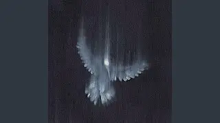 飛び続ける
