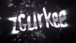 Intro - zGurkee