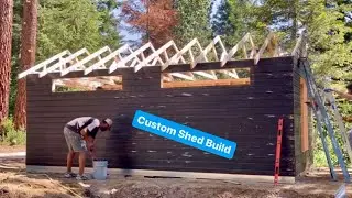 Shed Build In The Mountains (start to finish)