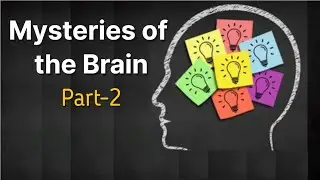 Uncovering the Mysteries of the Human Brain - You Won't Believe What Scientists Found #mentalhealth