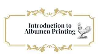 Alternative Printing - Albumen Printing