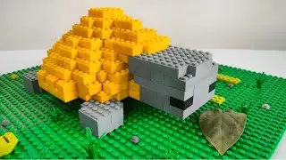A Turtle Made With Peacock Blocks