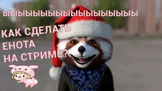 Как сделать енота, как у Клэша Klash Доги, Йоги (животное на стриме ) ♚♚♚