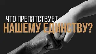 Что препятствует нашему единству? | 03.11.2024 12:00