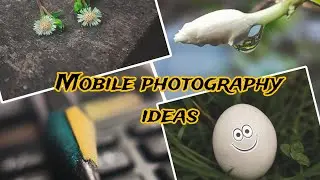 Mobile photography ideas/Macro photography #mobilephotograpy #creativephotography
