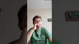 ქრიზანთემები.