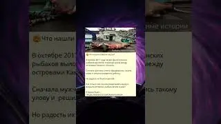 D_-Что нашли в брюхе акулы