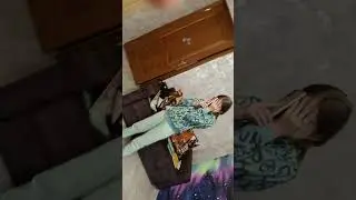стали волейболистоми на 24 часа