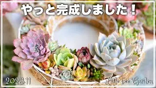 [Succulents] Planting was completed after 4 months ❣️ [Gardening]