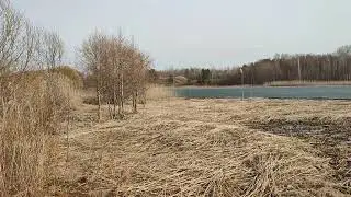 2024-04-01 +19, ТАЕТ ЛЕД НА ОЗЕРЕ